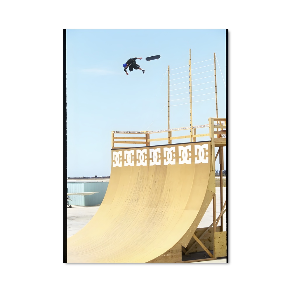 Poster Skate et Vol